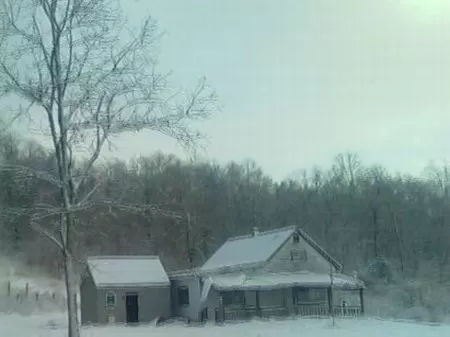 30 Acres Of Woods with Cabin