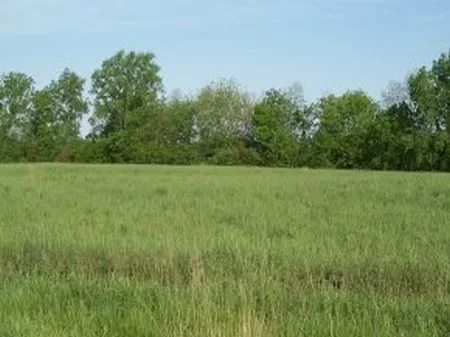 5 Acre Homesite - Reduced Price property photo 1