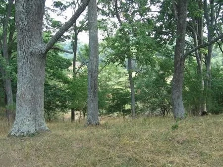 Beautiful 16 Acre Homesite property photo 1