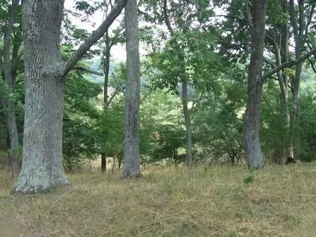 Homesites Between 2 and 16 Acres