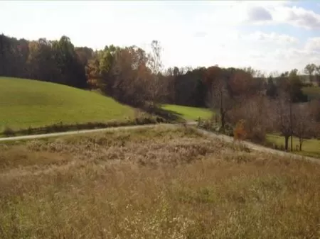 2.69 Acre Country Homesite - Cheap