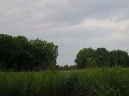 5 Acre Homesite with Woods
