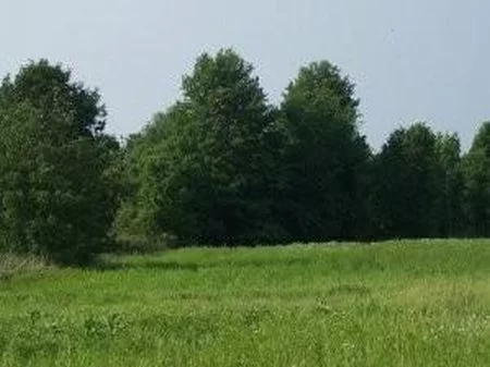 Beautiful 1.5 Acre Homesite property photo 1