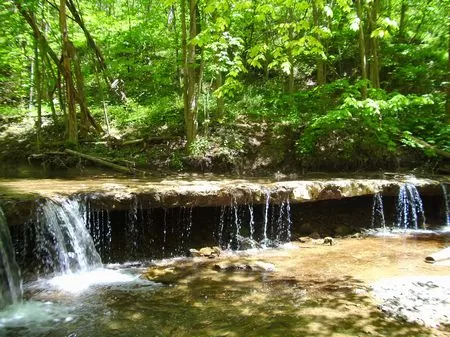68 Acres with Waterfall