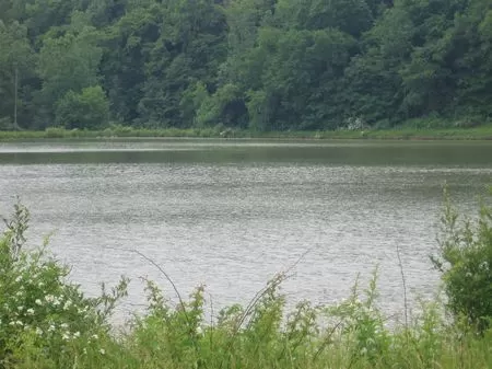 17 Acre Lake with Woods and Barn
