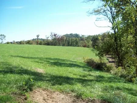 33 Ac. Wooded & Open Hunting Land