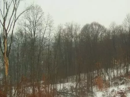 45 Acres