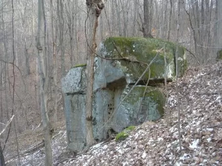 Premier Hunting, Beautiful Woods
