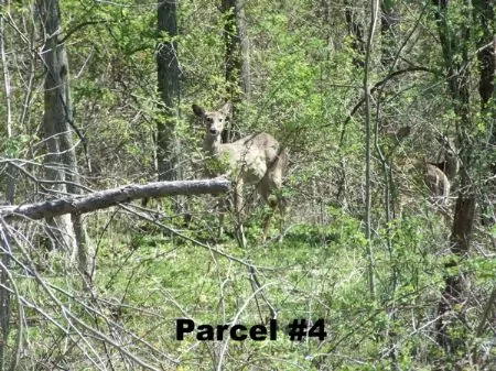 23 A Near Seneca Lake