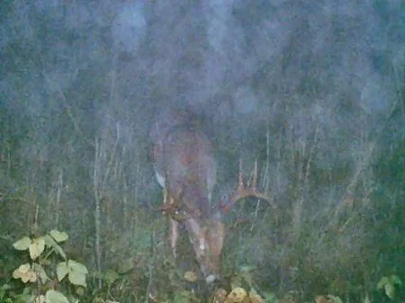 115ac Hunter's Paradise property photo 1
