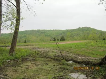 76 Acres with Creek