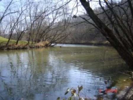 6 Acres Access To Raccoon Creek property photo 1
