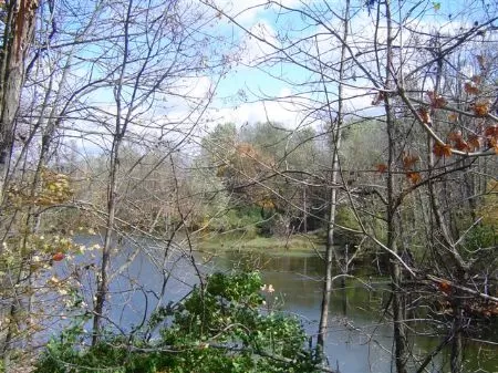 51 Acres with House