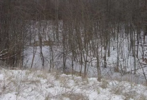 51 Acres Oil and Gas Transfer