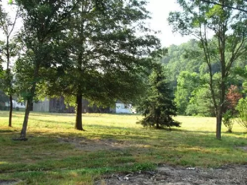 Price Drop 76a Home Site/hunting