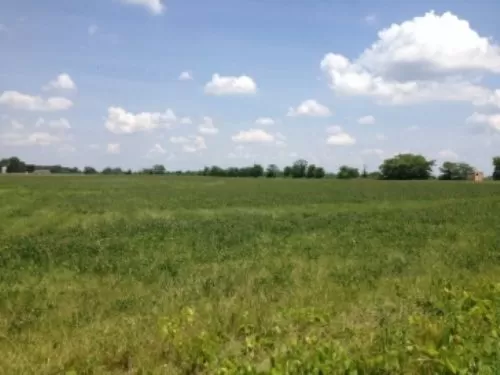 Tillable 5acres in Corn Country