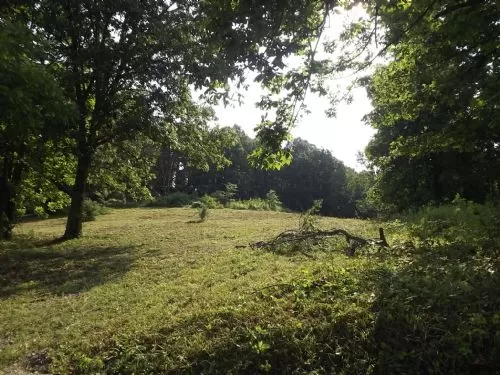 Price Reduced Almost 5 Acres