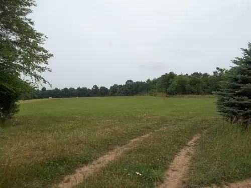 5 Acre Home Site