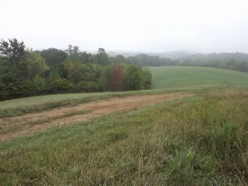 36acres Awesome Views property photo 1