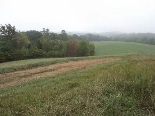 36acres Awesome Views