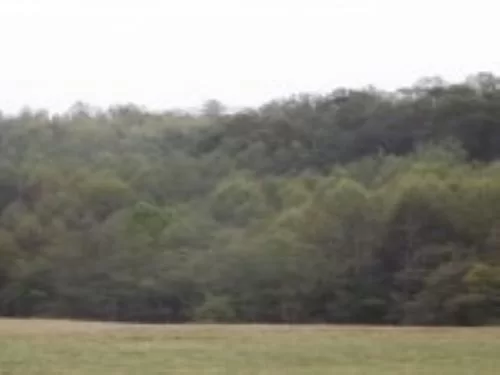 34 Acres Beautiful Views property photo 1