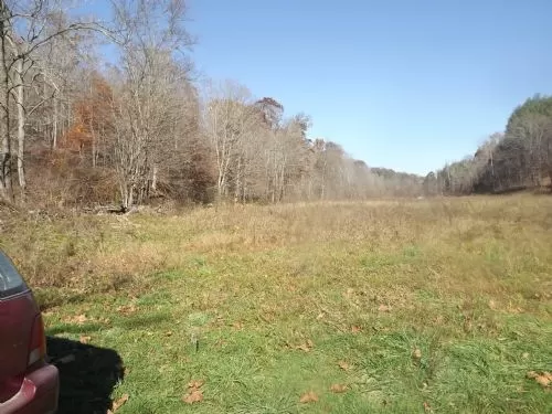 10 Acre Wooded Tract