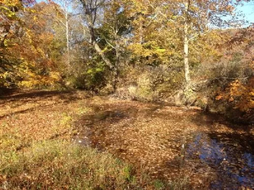 24 Acre Scenic Property