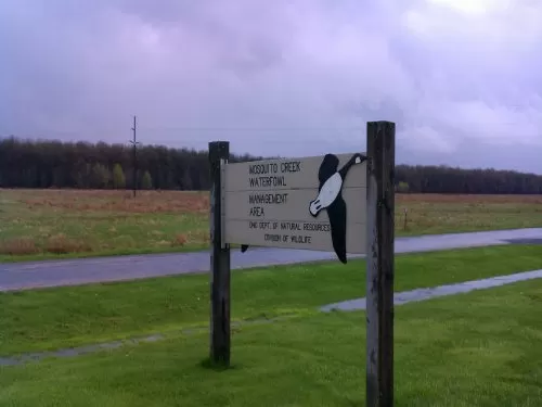 Duck Hunting On Flagg Road