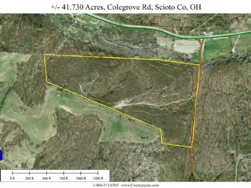 Colegrove Road