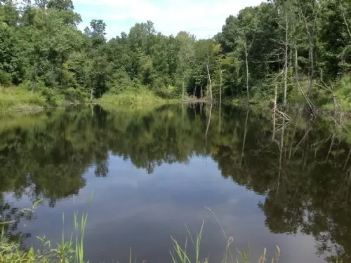 White Hollow Road
