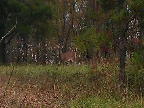 Lee Hollow property photo 1