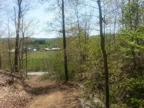 Lower Twin