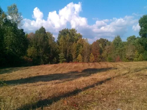 6 Acres Touches Wayne