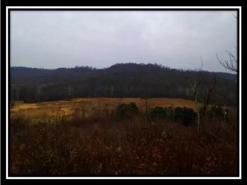 Hunters View Great Hunting Property