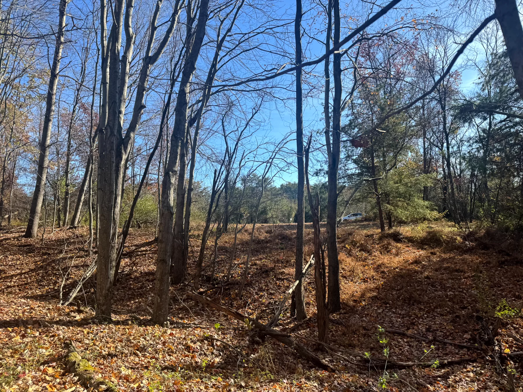 The Ponds at Poplar Ridge – Tract 5 property photo 3