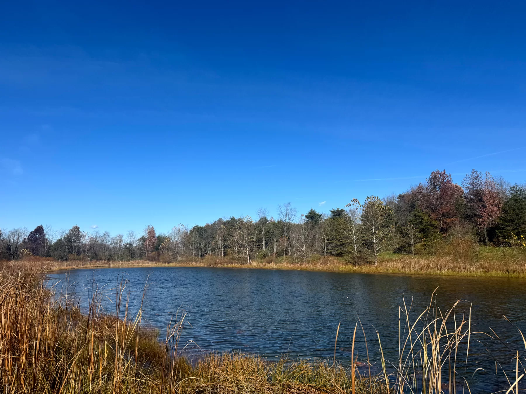 The Ponds at Poplar Ridge – Tract 5 property photo 7