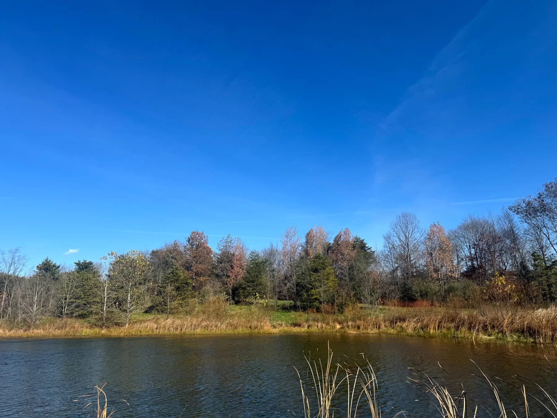 The Ponds at Poplar Ridge – Tract 5 property photo 8
